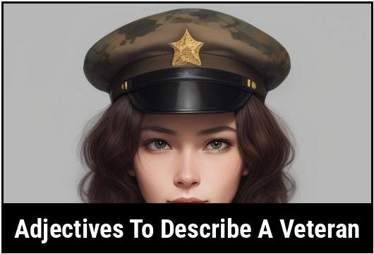 words that start with t to describe a veteran